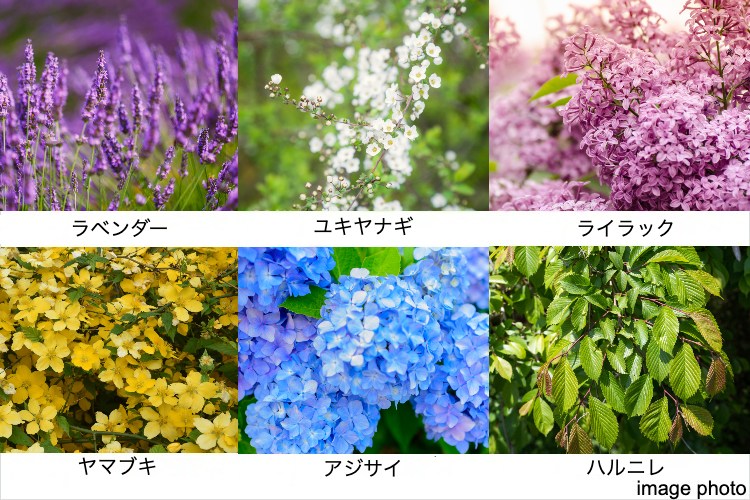 ザ・タワーズフロンティア札幌の植栽イメージ画像