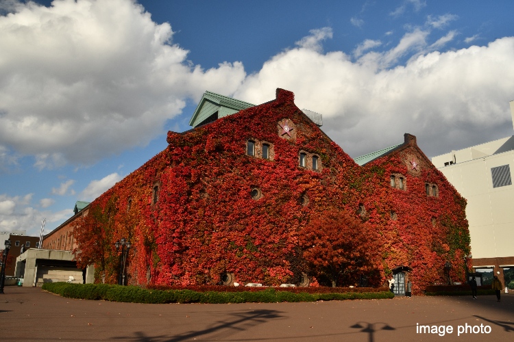 サッポロファクトリーイメージ画像